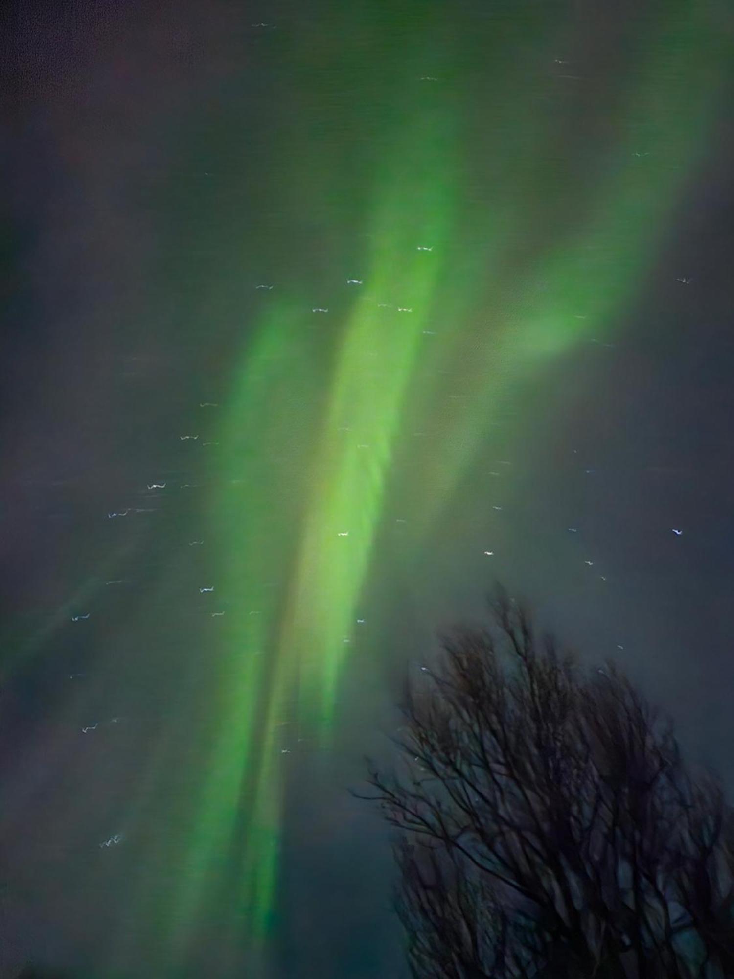 Tonsvik Enebolig Villa ทรอมโซ ภายนอก รูปภาพ